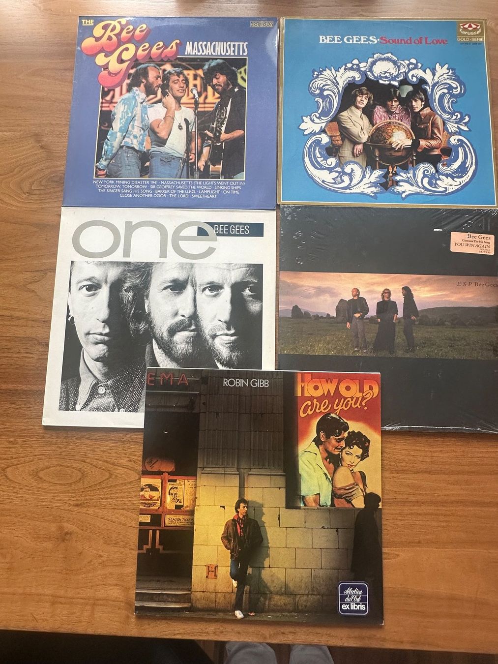 Dischi in vinile: 4 LP: Bee Gees und 1 LP Robin Gibb – Usato da Amriswil venduto da Valk1