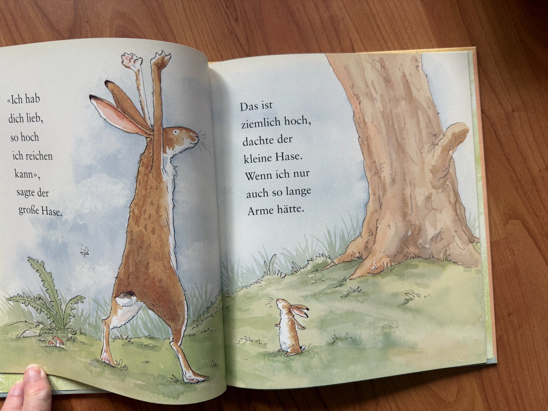 Livres: Weisst du eigentlich... – D'occasion à Wängi par squirrelwoman 1