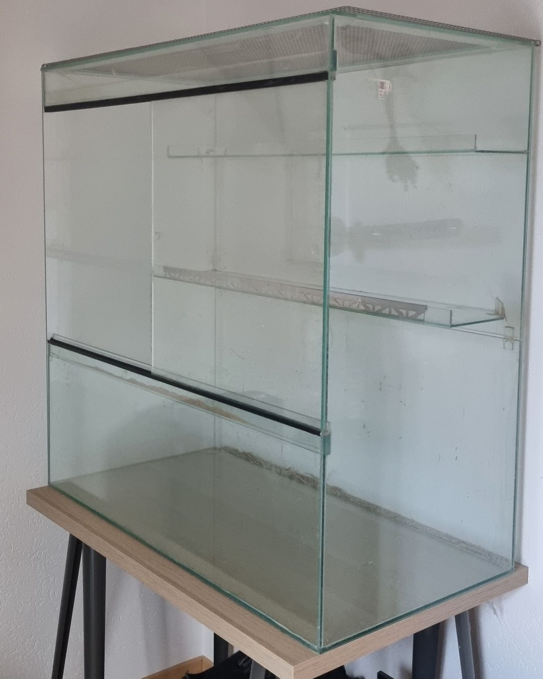 Terrario: Terrarium gross – Usato da Breitenbach venduto da 49fleur
