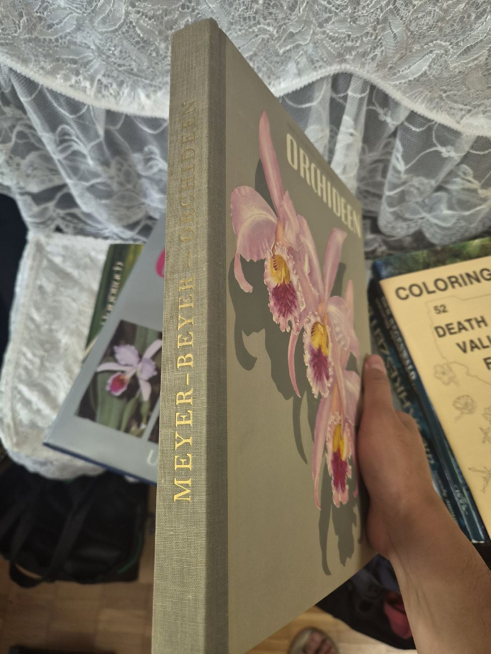 Libri: Orchideen Buch Meyer-Beyer guter Zustand – Nuovo (secondo la descrizione) da Bassersdorf venduto da Sport_4_life 1