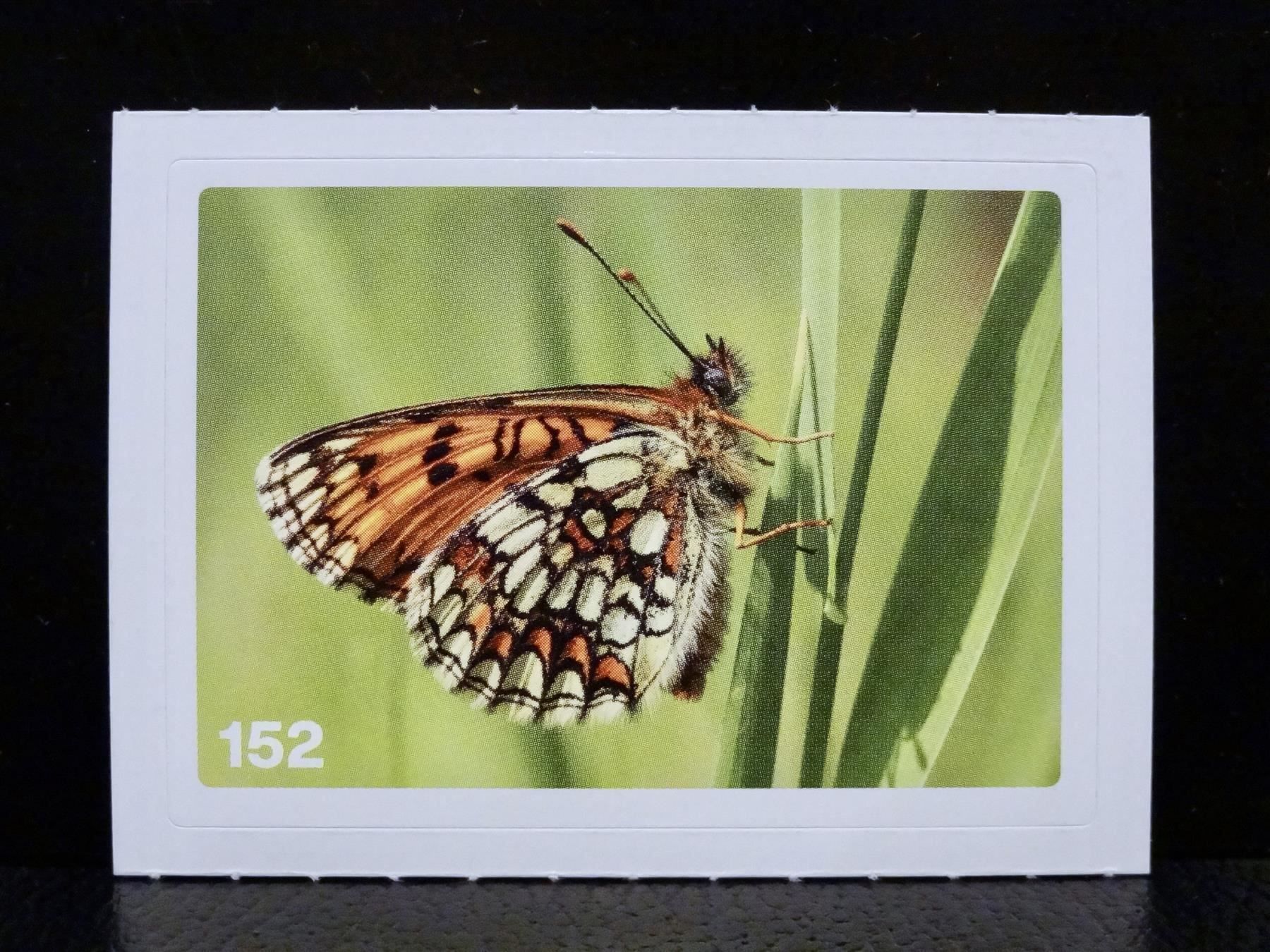 Migros Carte collezionabili: MIGROS MANIA Nature Detectives Nr. 152 – Nuovo e nell'imballaggio originale da Kerzers venduto da zimmergruen
