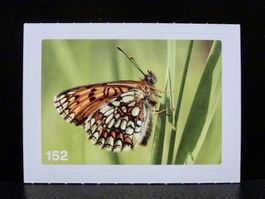 MIGROS MANIA Nature Detectives Nr. 152