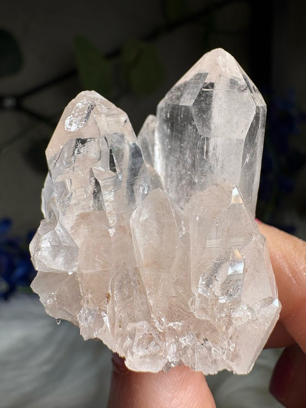 Minerali & Pietre curative: Himalaya-Quarz-Cluster – Nuovo (secondo la descrizione) da Neuheim venduto da m.hald
