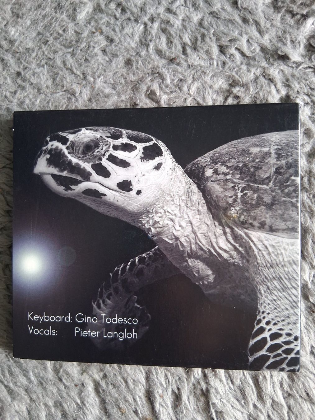 CD: GINO TODESCO  PETER LANGLOH    ALWAYS ON MY MIND    CD – Usato da Wetzikon ZH venduto da Ramones01 1