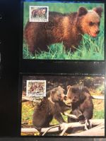 WWF Jugoslawien 1988 Braunbär Satz Maximumkarten