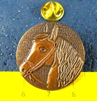 PONY ROSS PFERD CHEVAL CAVALLO PIN GEPRÄGT KUPFRIG