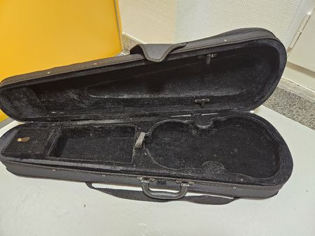 Geigenkasten, ideal für den sicheren Transport