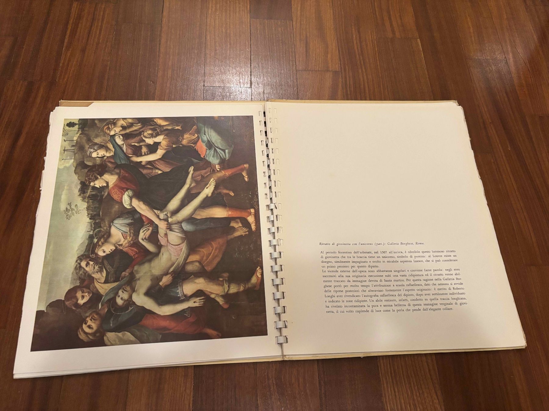 Bücher: Raffaello – Gebraucht aus Lugano von Mark_Young 2
