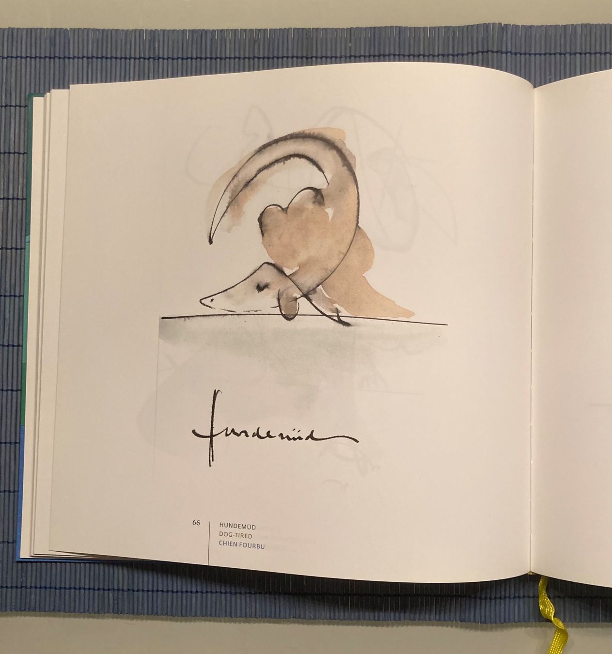 Libri: Strandgut – Nuovo e nell'imballaggio originale da Schwarzenburg venduto da dor_hpf7 3