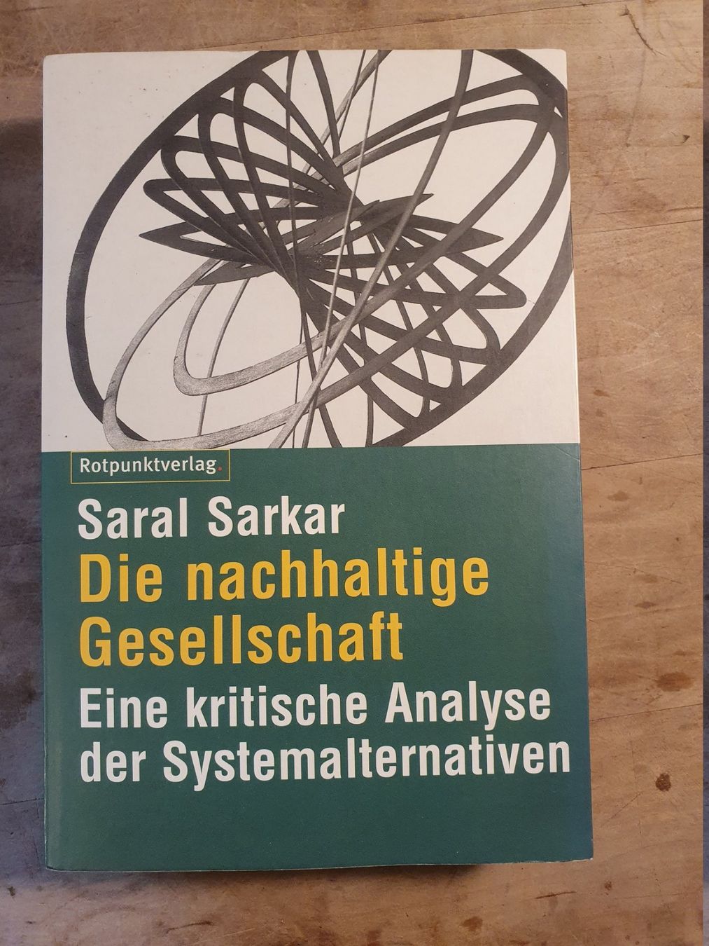 Libri: Die nachhaltige Gesellschaft Saral Sarkar Rotpunkt – Usato da Zürich venduto da loosebone