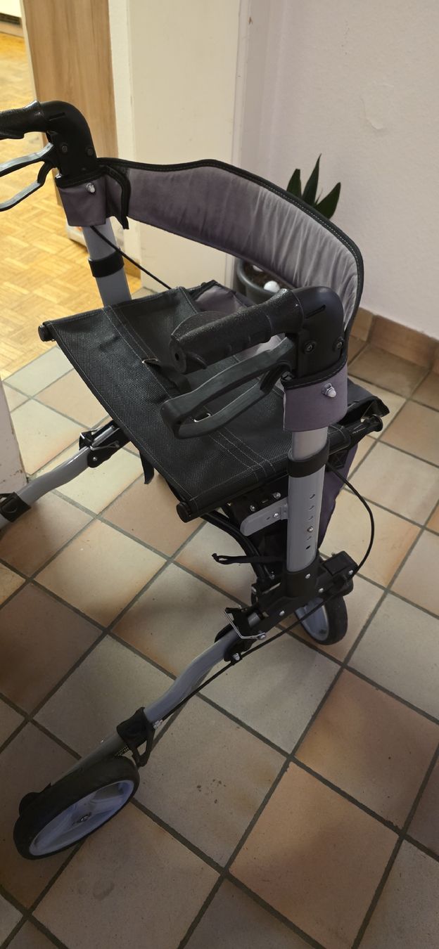 Ausili per la deambulazione: Rollator Butterfly Modell guter Zustand – Usato da Hittnau venduto da Annubis 1