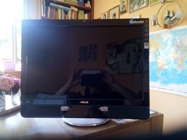 Gaming Monitor ASUS PG221 22 Zoll