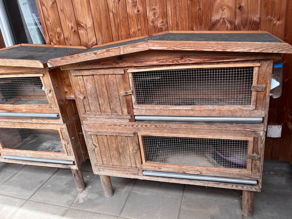 41+ Hasenstall Kaufen Gebraucht, In rubrik tiere kleinanzeigen wurden