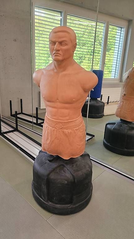 Sacchi da boxe: Century Bob XL – Usato da Urdorf venduto da Samibm