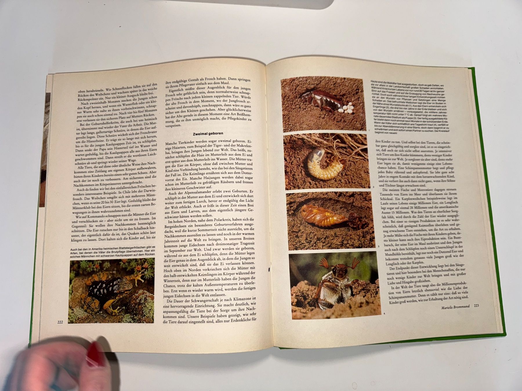 Libri: BUCH: Das grosse Readers Digest Jugendbuch, 20te Folge – Usato da Grosswangen venduto da Second_hand_paradise 6