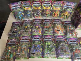 Masters of the Universe 35 figures Turtles of Grayskull 