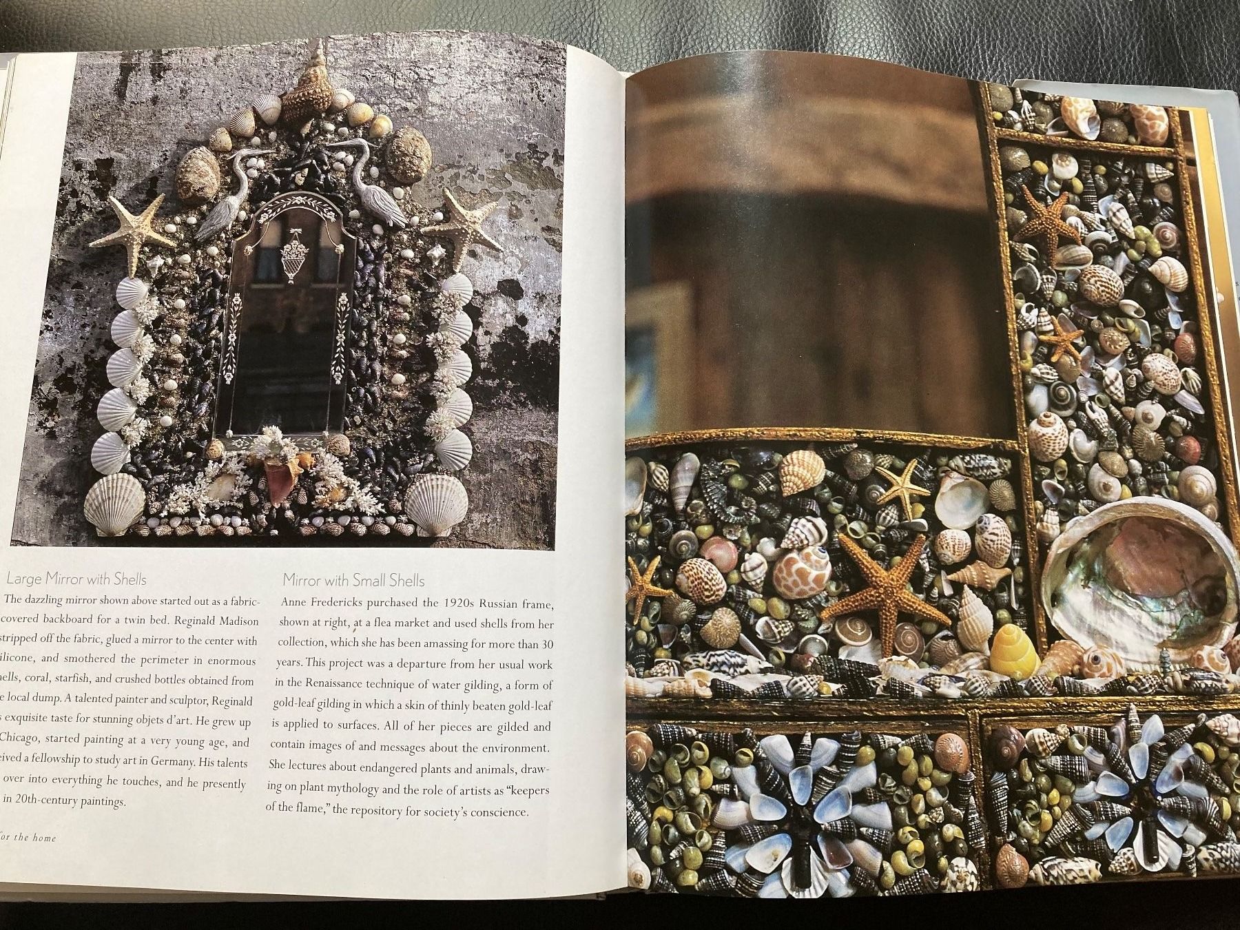 Libri: Shell Chic: Ultimate Guide to Decorating Your Home w. Shells – Usato da Zürich venduto da kostbares 8