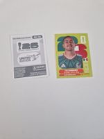 Panini Sticker MEX14