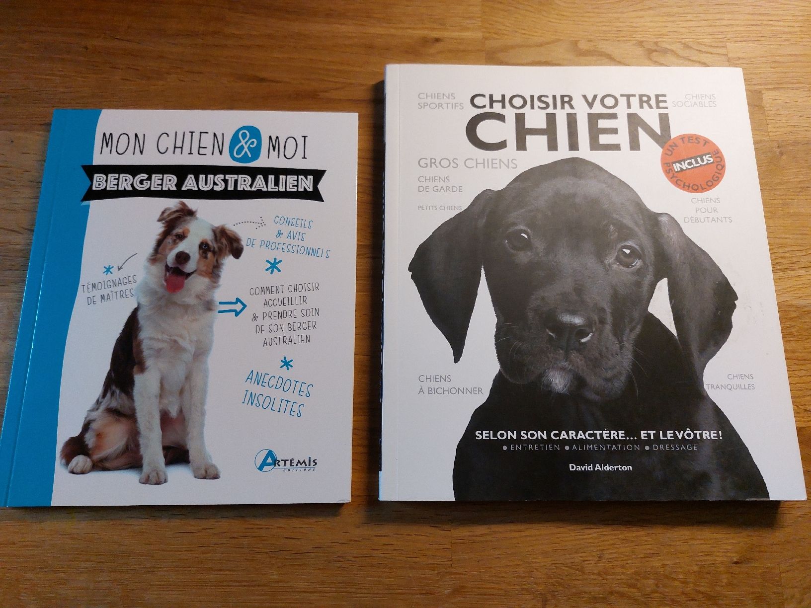 Libri: 2 Hunde-Ratgeber FR – Usato da Birgisch venduto da philking