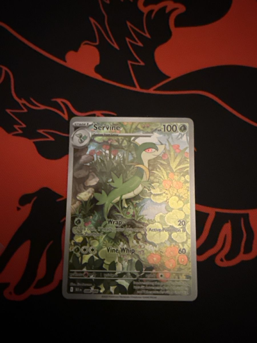 Pokémon Carte collezionabili: servine EN – Nuovo (secondo la descrizione) da Basel venduto da ari_s727 1