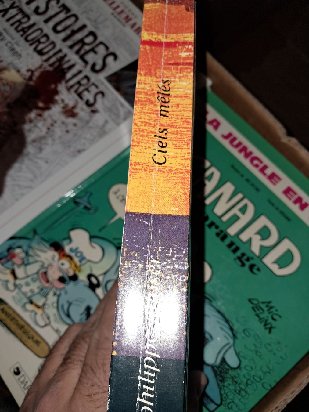 Libri: Ciels mêlés - 366 poèmes pour une année entière – Usato da Le locle venduto da juliensaran 3