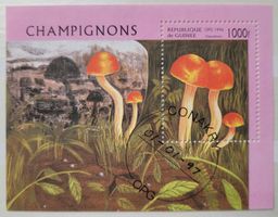 GUINEA–PILZE-MINI BOGEN / GUINÉE–CHAMPIGNONS-MINI FEUILLET