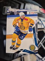 Michael Fora HC Davos 2025/26 Sportzoo