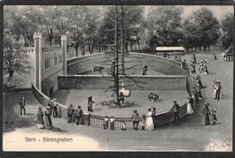 ^Bern - Bärengraben , gel. 1918