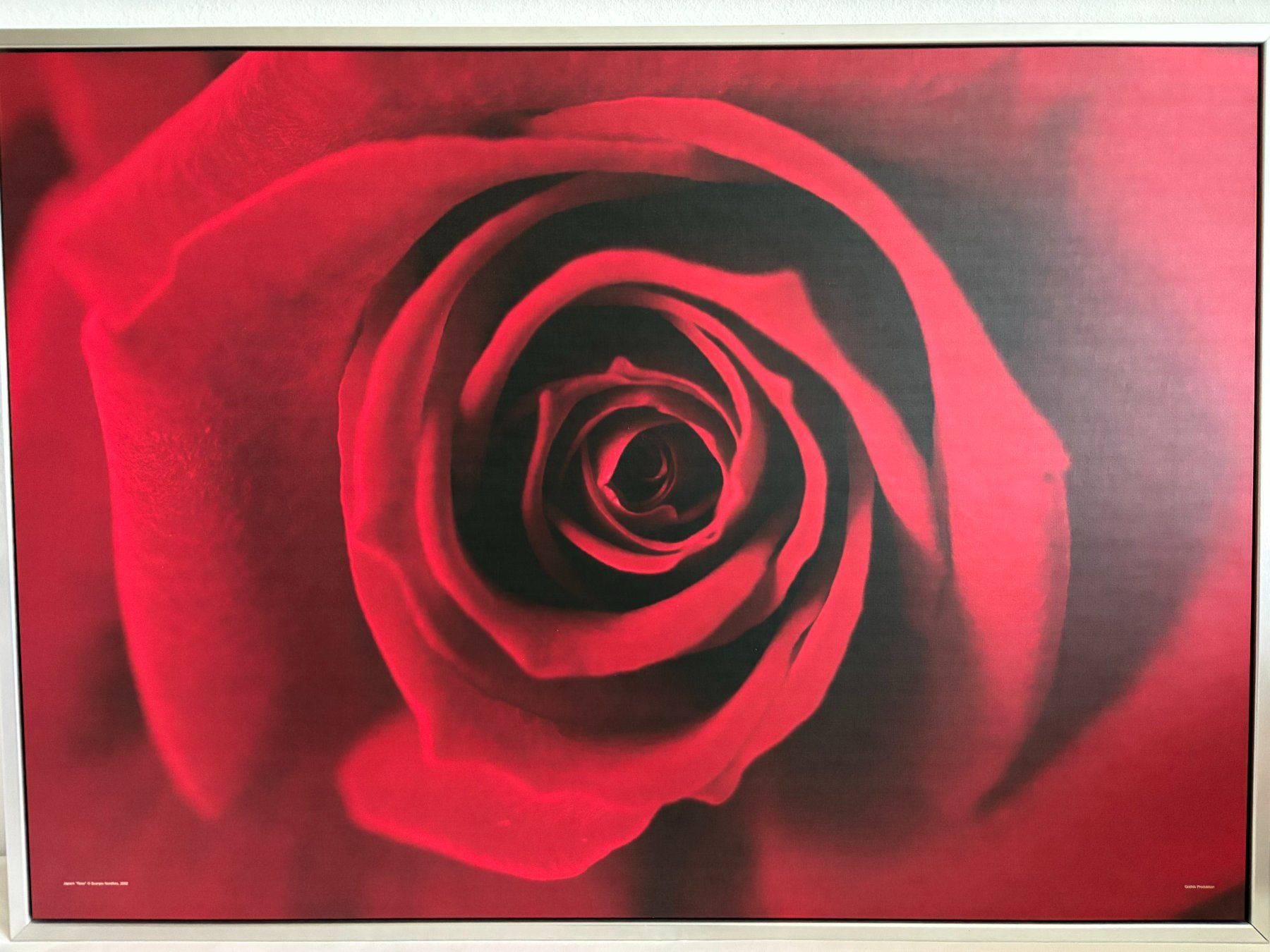 Poster & Bilder: Rote Rose Leinwandbild XXL gerahmt – Gebraucht aus Kerns von magnapurelc