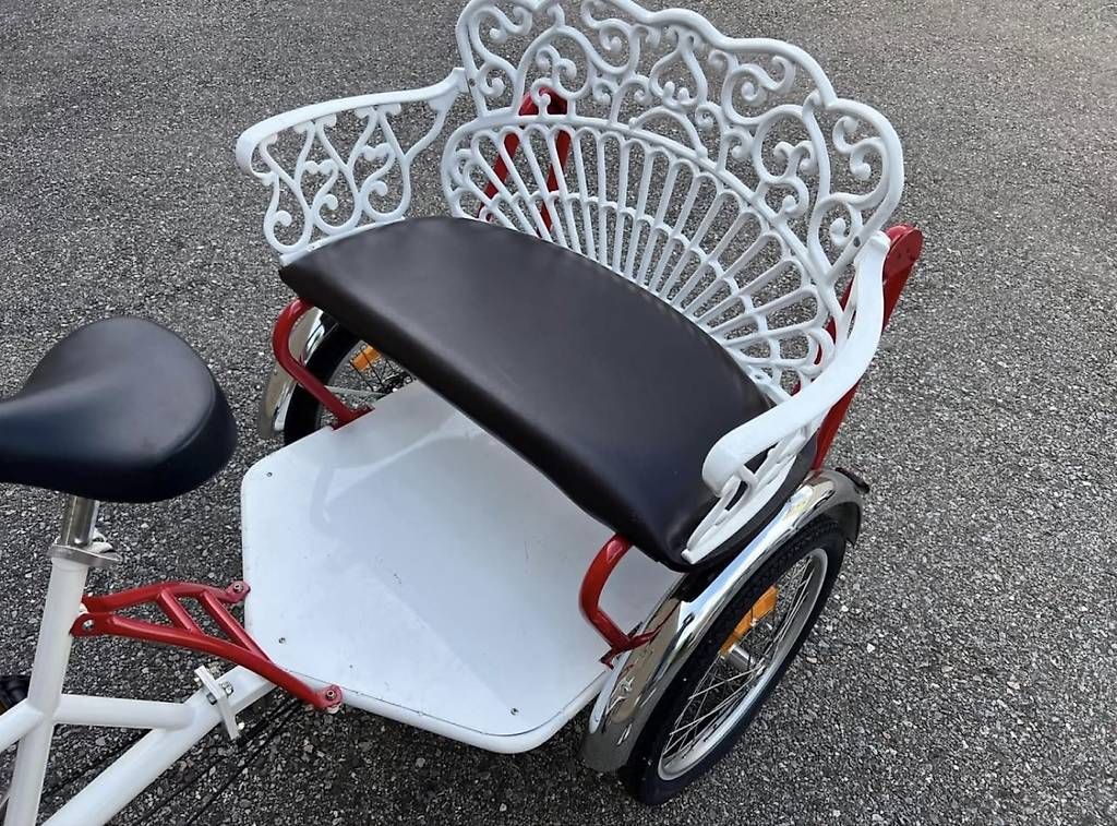 Biciclette: Unica bicicletta tre ruote  – Usato da Quartino venduto da DiloUsato 5