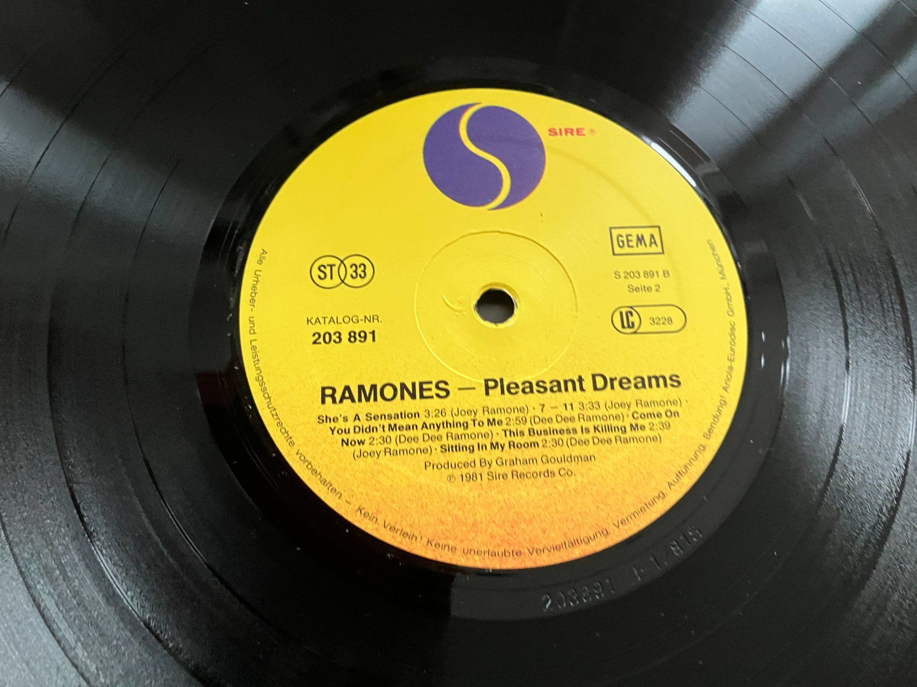 Dischi in vinile: Ramones – Usato da Aarwangen venduto da Jukebox3 7