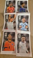 6×Panini Coca-Cola Stickers