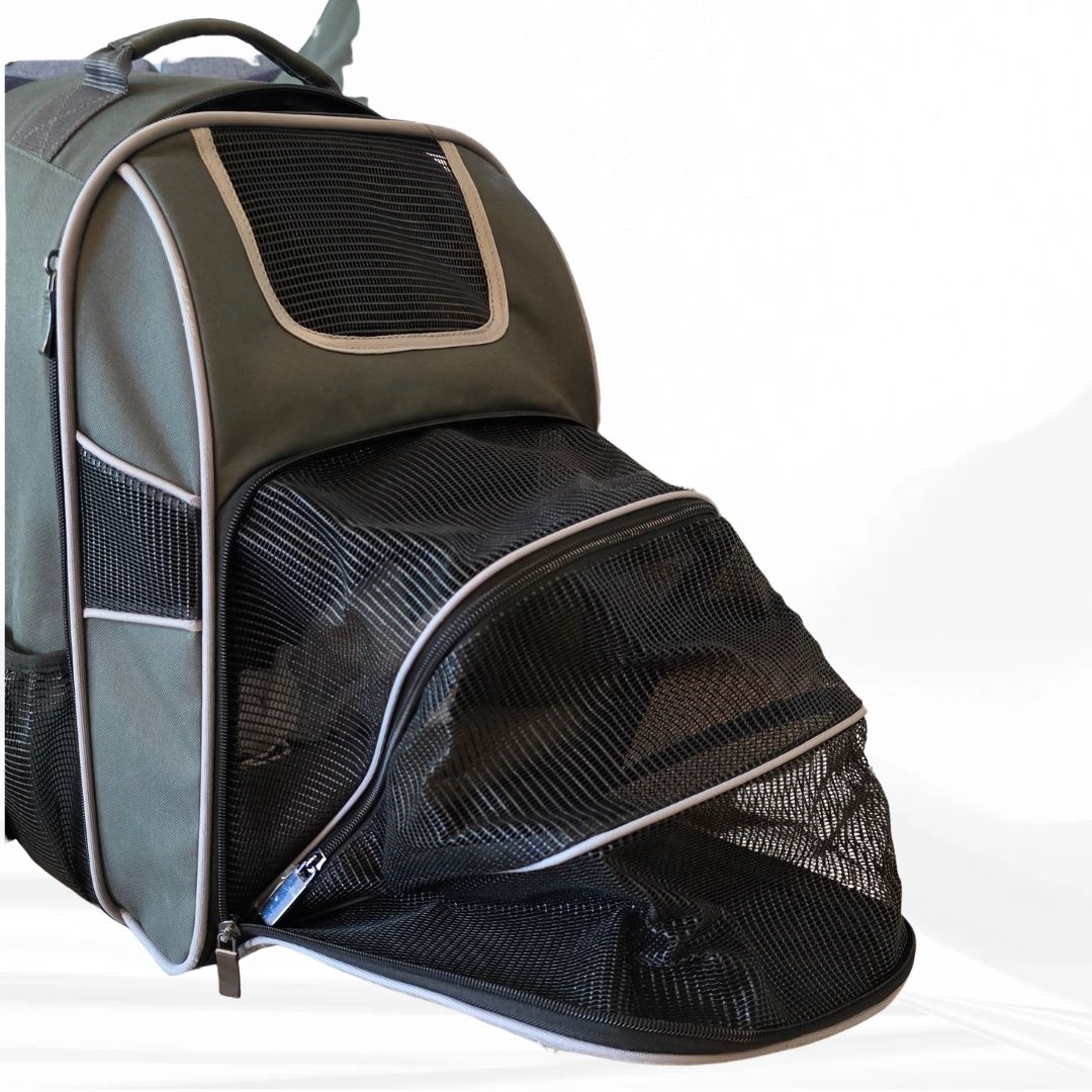 Cucce & Letti: Hunde- oder Katzenrucksack für den Sommer! – Usato da Aesch BL venduto da sims04 1