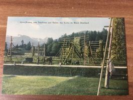 Postkarte Korn-Husten zum Trocknen Korn Graubünden