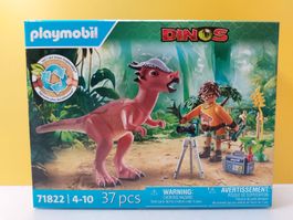 PLAYMOBIL 71822 Dino - Dinos Stygimoloch - Beobachtung NEU