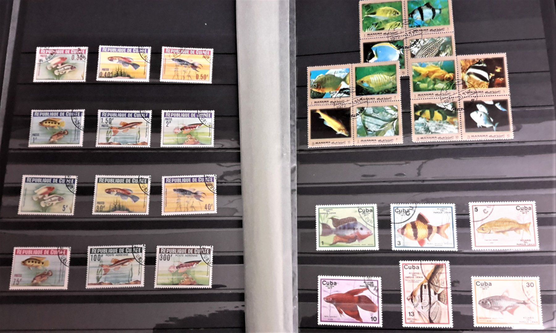 Alle Briefmarken: Internationale Briefmarken THEMA-Sammlung  "FISCHE DER WELT" – Neu (gemäss Beschreibung) aus Zug von Aeschroot 1
