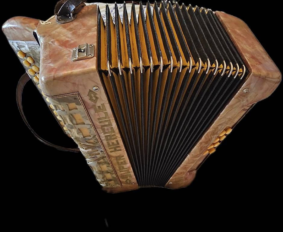 Musikinstrumente: Accordéon – Gebraucht aus Genève von swissaddress
