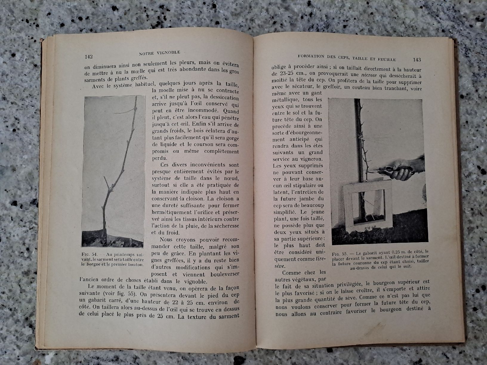 Libri: Vintage Viticulture Book "Notre Vignoble" – Usato da Genève venduto da sunsustains 3