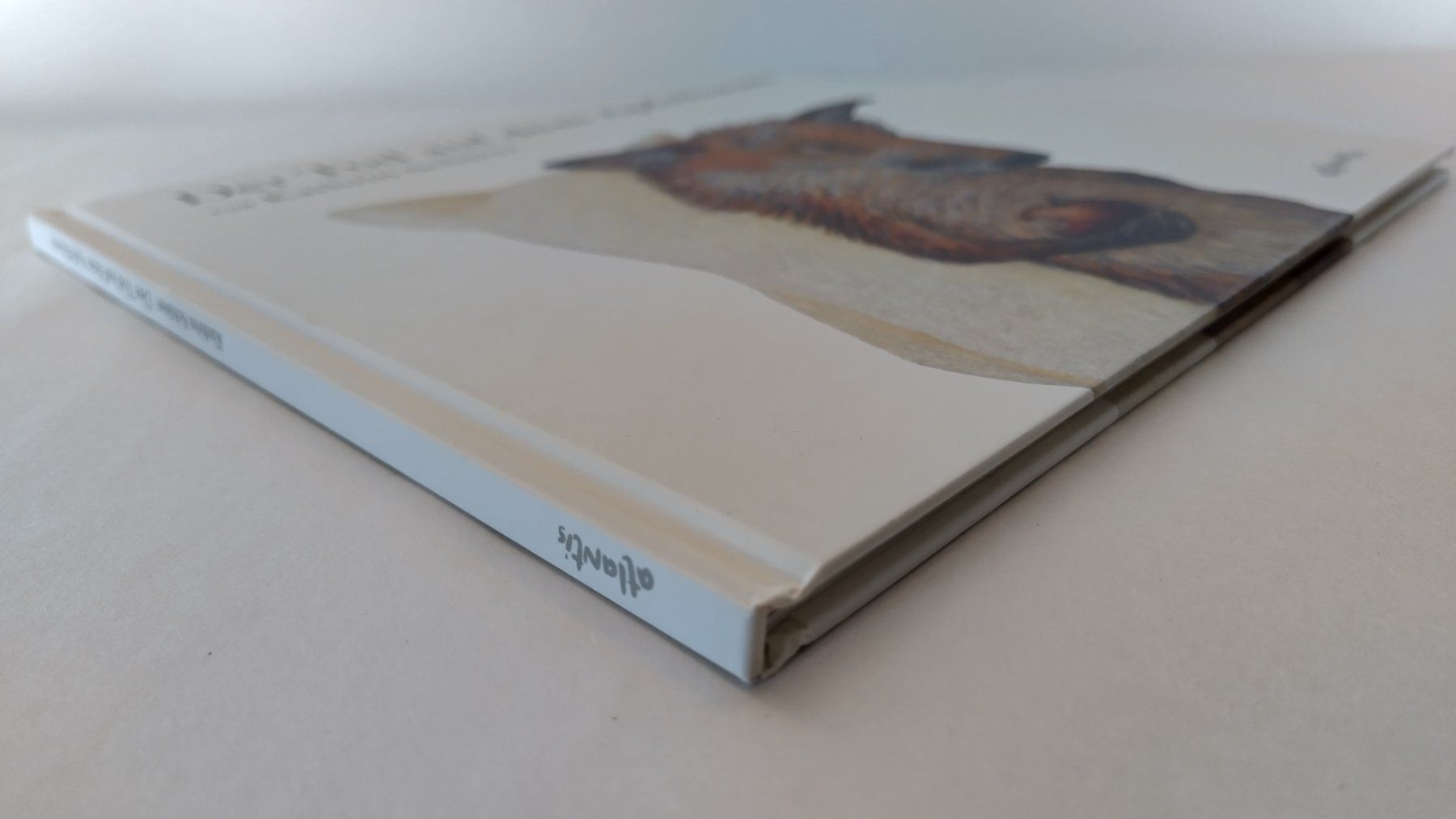 Libri: Kathrin Schärer - Der Tod auf dem Apfelbaum / Bilderbuch – Usato da Bellach venduto da JingleJerry 1