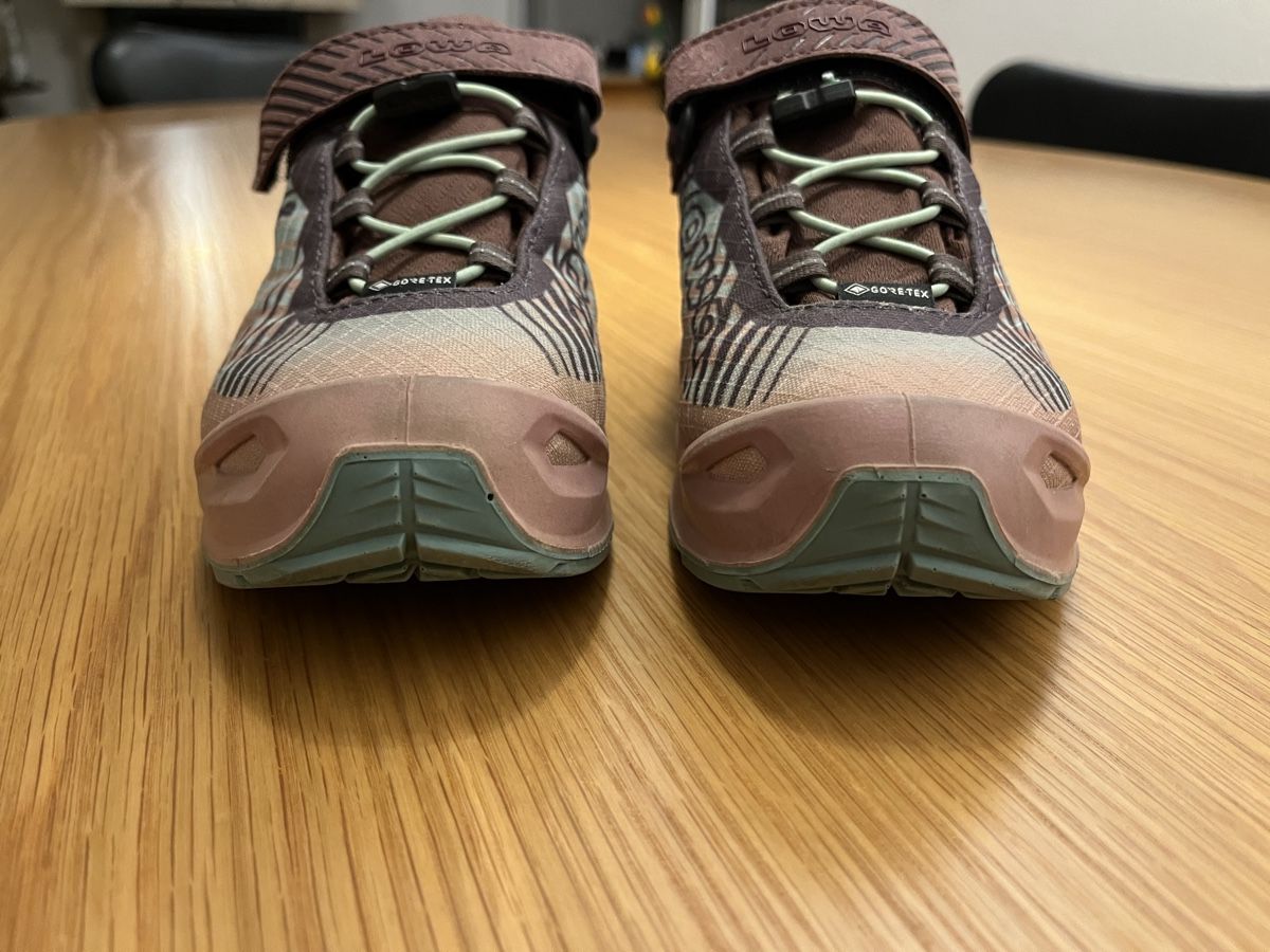Lowa Scarpe da uomo: Chaussures de randonnée Lowa – Usato da Genthod venduto da Bilibi 5