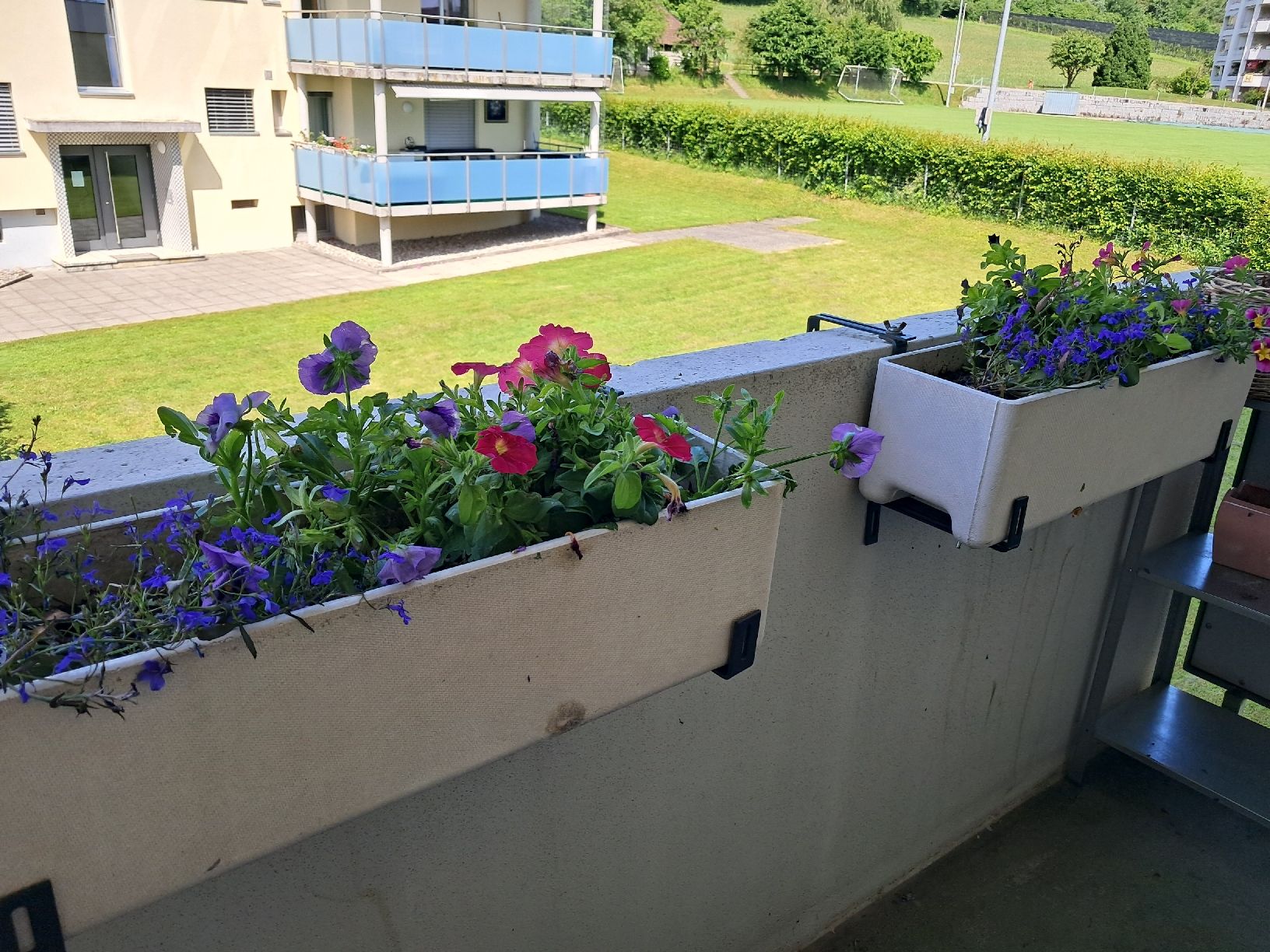 Vasi per fiori: 5x Balkon Blumentöpfe – Usato da Eschenbach LU venduto da Blackjack6
