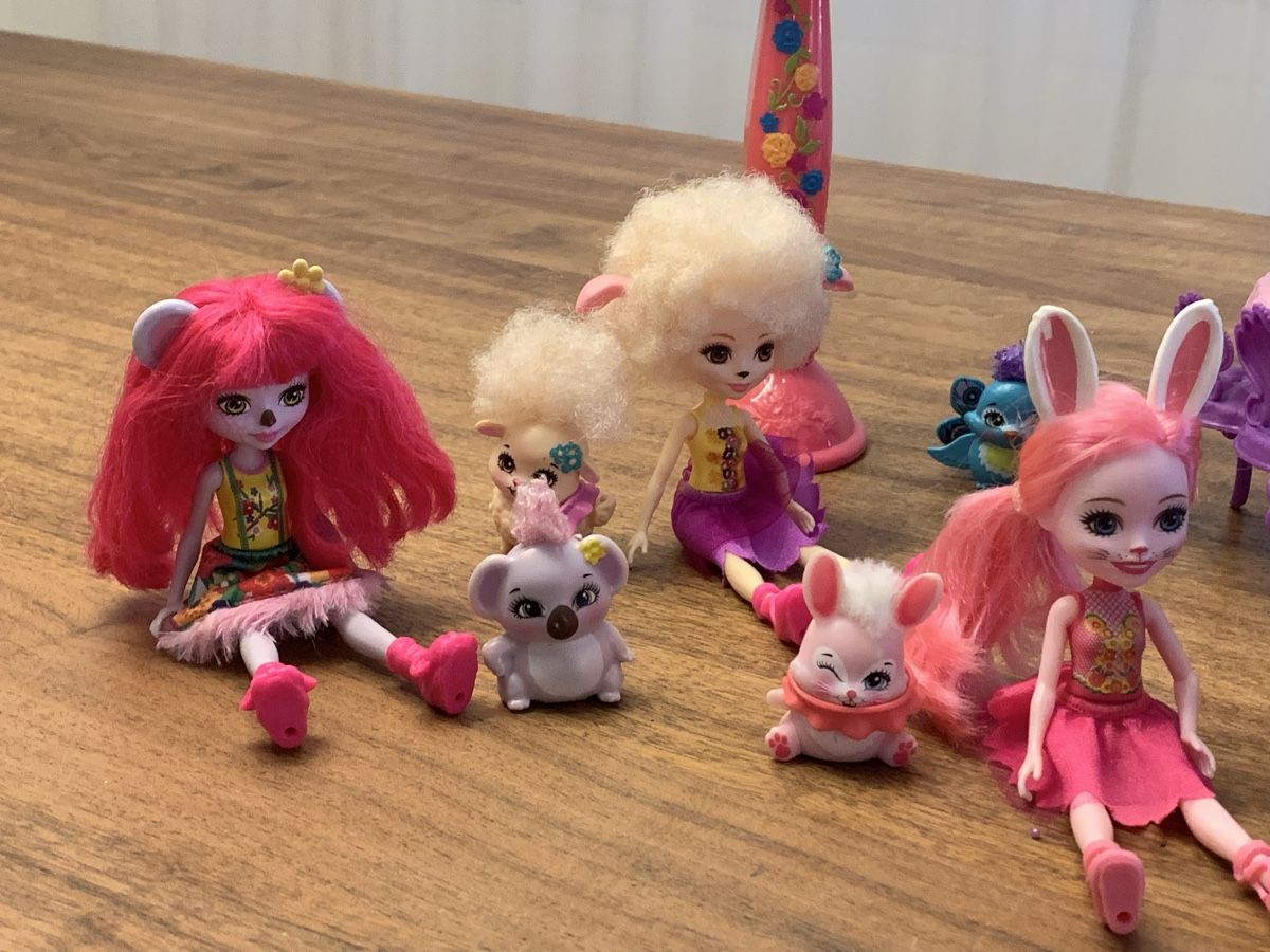Puppen: Enchantimals Set, über 20 Teile – Gebraucht aus Niederhasli von Mfallegger 4