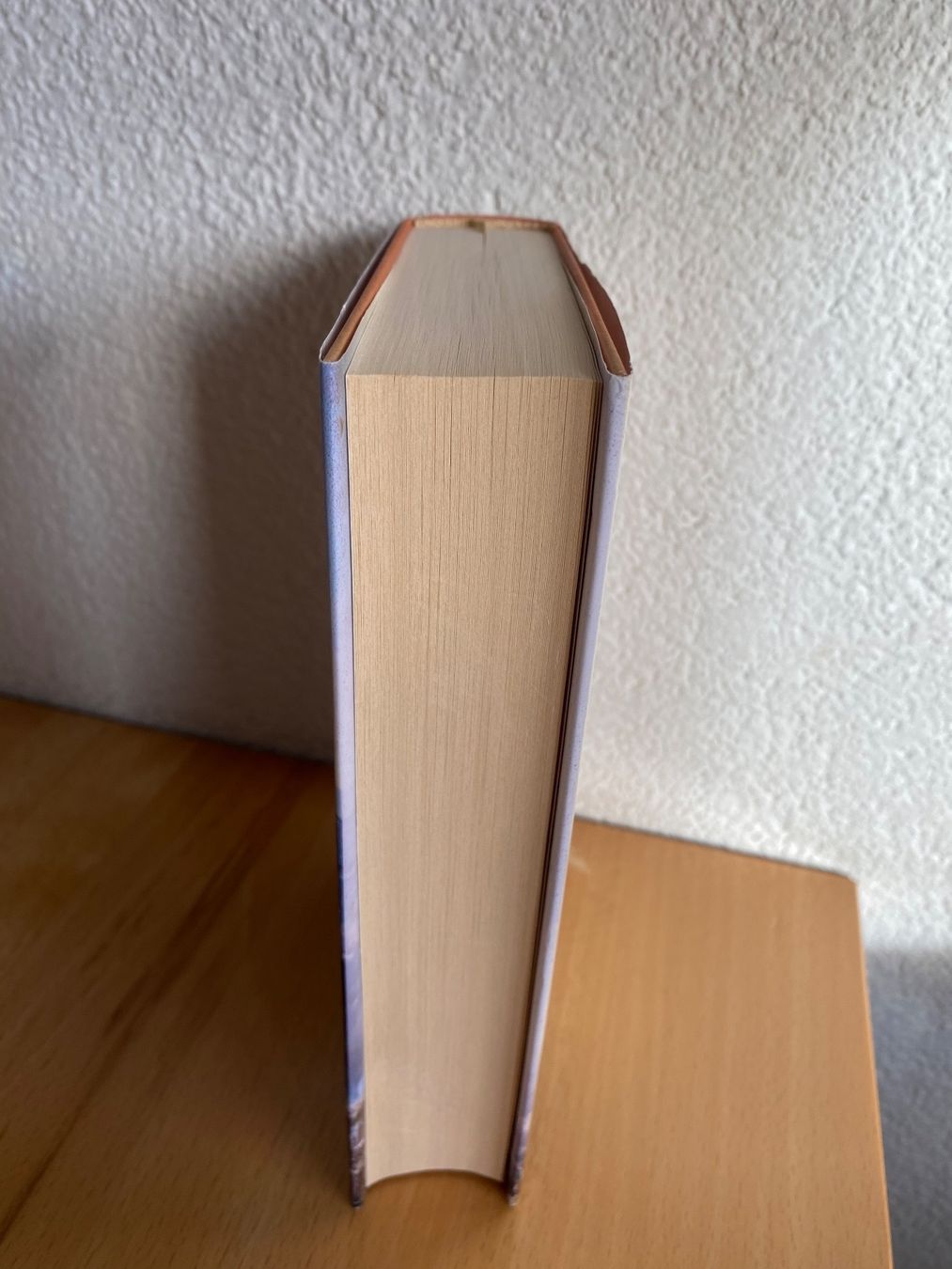 Bücher: Die Sehnsucht nach Licht - Kati Naumann – Gebraucht aus Schwarzenburg von Michellu 3