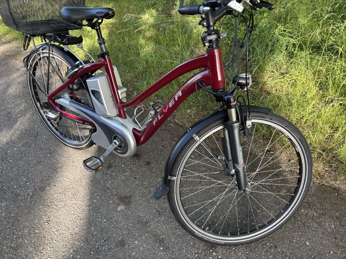 Flyer Biciclette: Flyer 45Km/h – Usato da Kleindietwil venduto da her_d77z 5