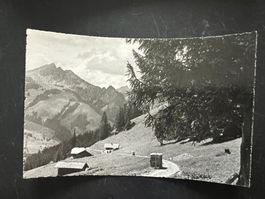 AK  ca. 1950 Scheitwegen Boltingen ungelaufen  (G1092)