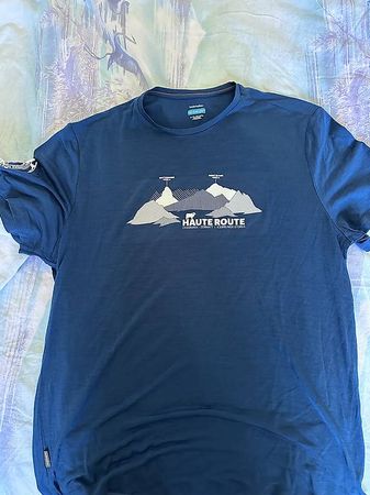 Icebreaker 125 Merinowolle Tshirt Herren NEU