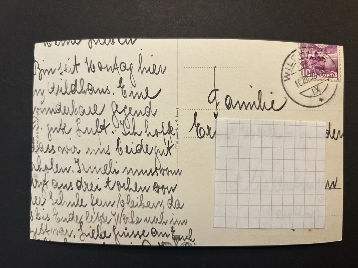 Ansichtskarten: Wildhaus Pension Friedegg – Gebraucht aus Fanas von Alessio11 1