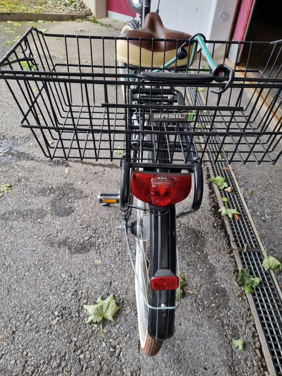 Villiger Biciclette: Damenvelo von Villiger  – Usato da Igis venduto da MariM04 7