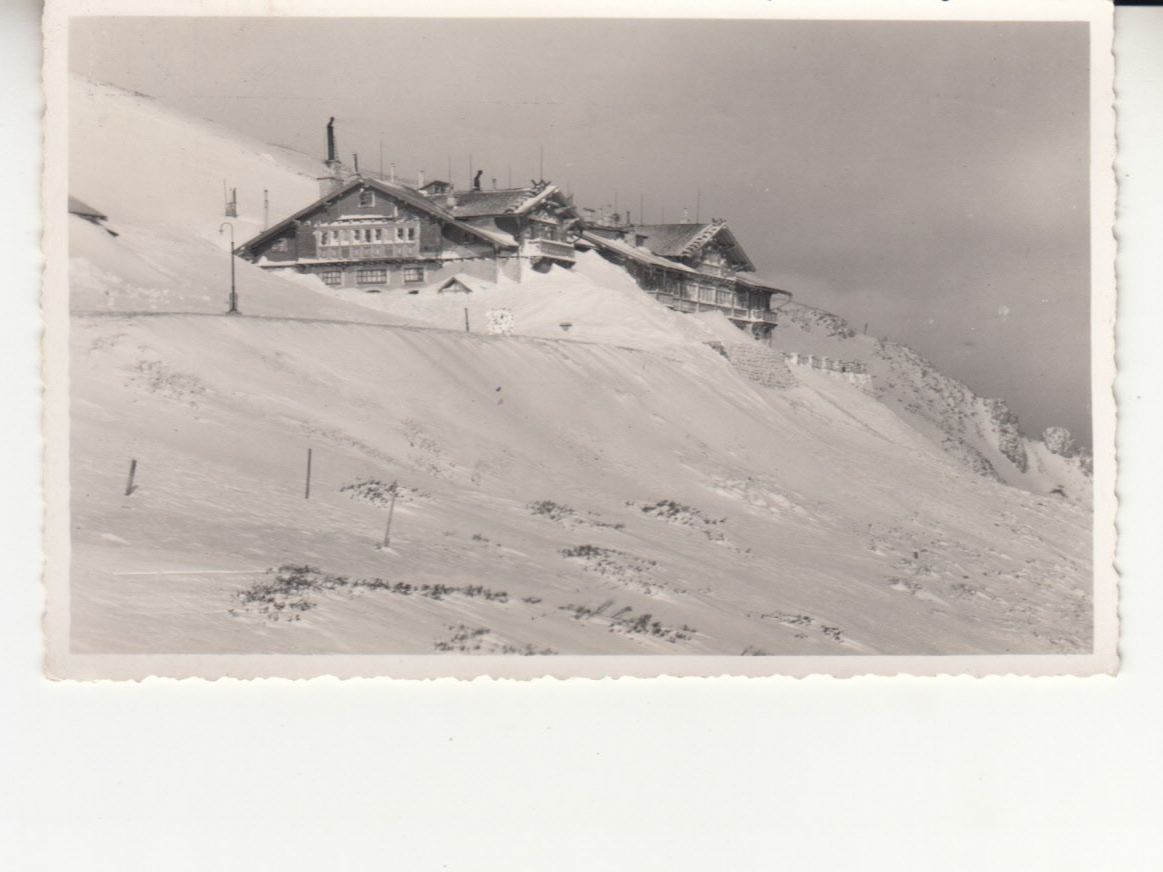 Cartes postales: Hochschneeberg 1950 – D'occasion à Bürglen TG par StampGraf