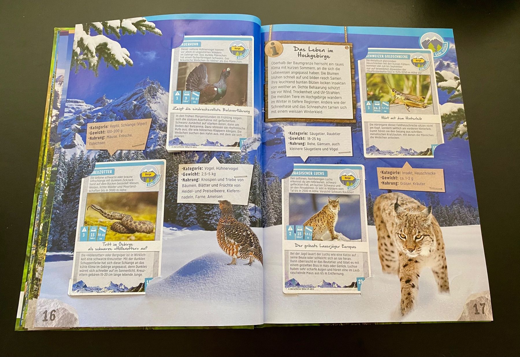 Libri: Abenteuer Natur / Coop / WWF – Usato da Nussbaumen AG venduto da schuba2000 3